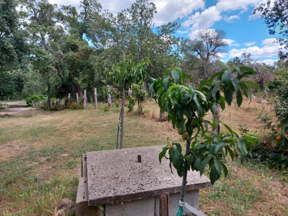 Agriturismo Pranu Sorgono Buitenkant foto