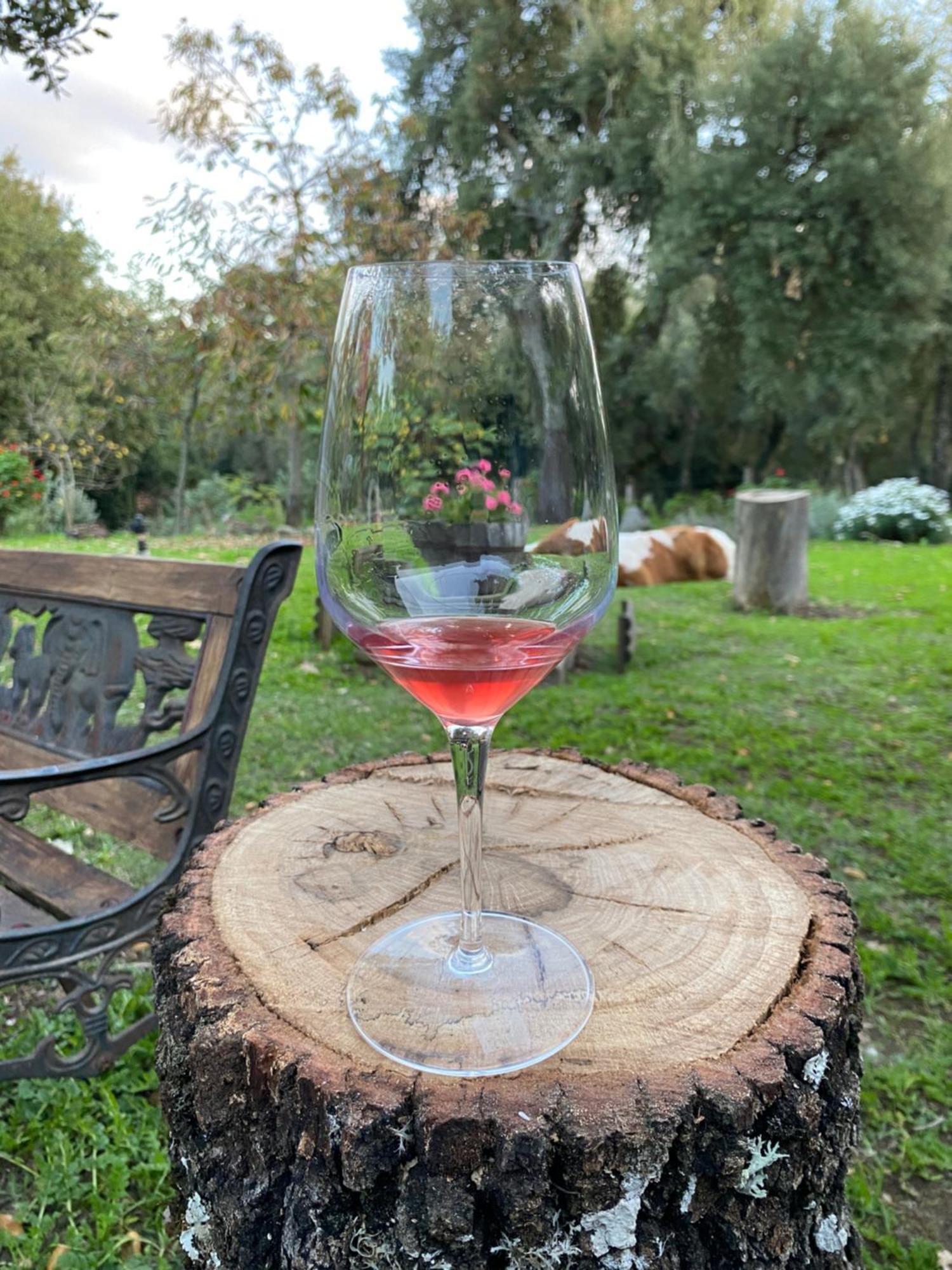 Agriturismo Pranu Sorgono Buitenkant foto